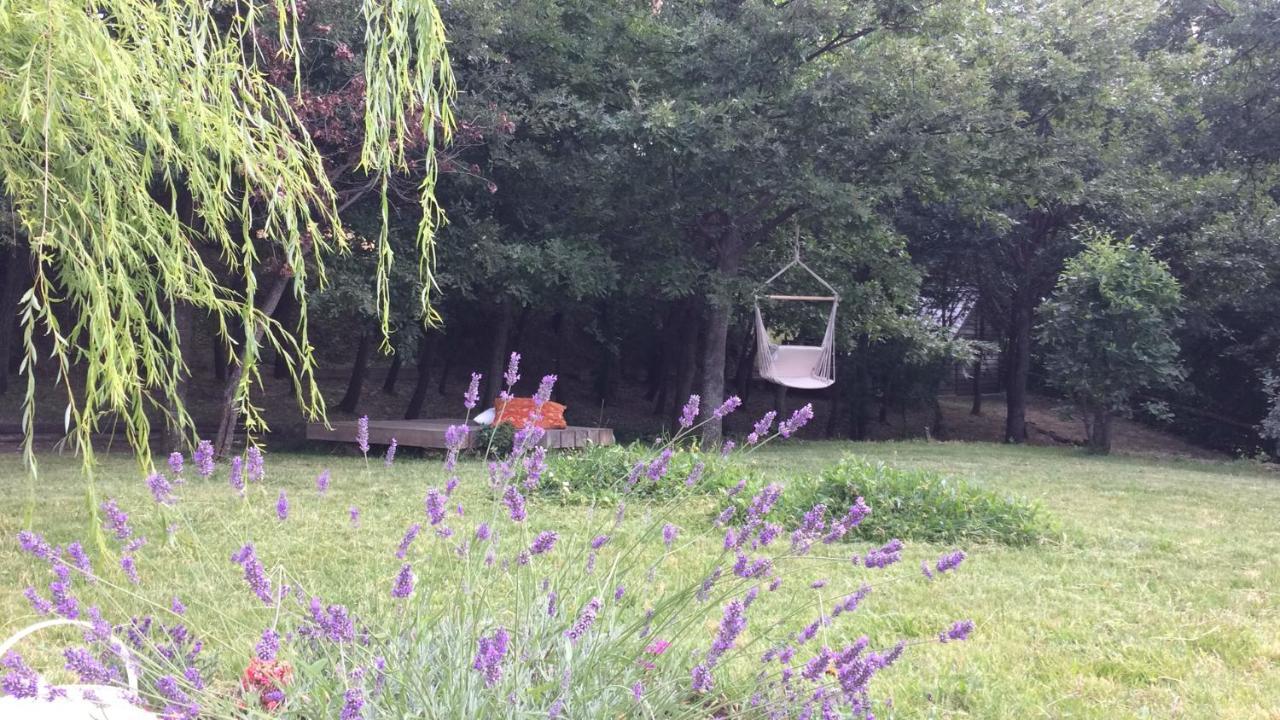Bed and Breakfast Vieniacasaccadia Екстер'єр фото