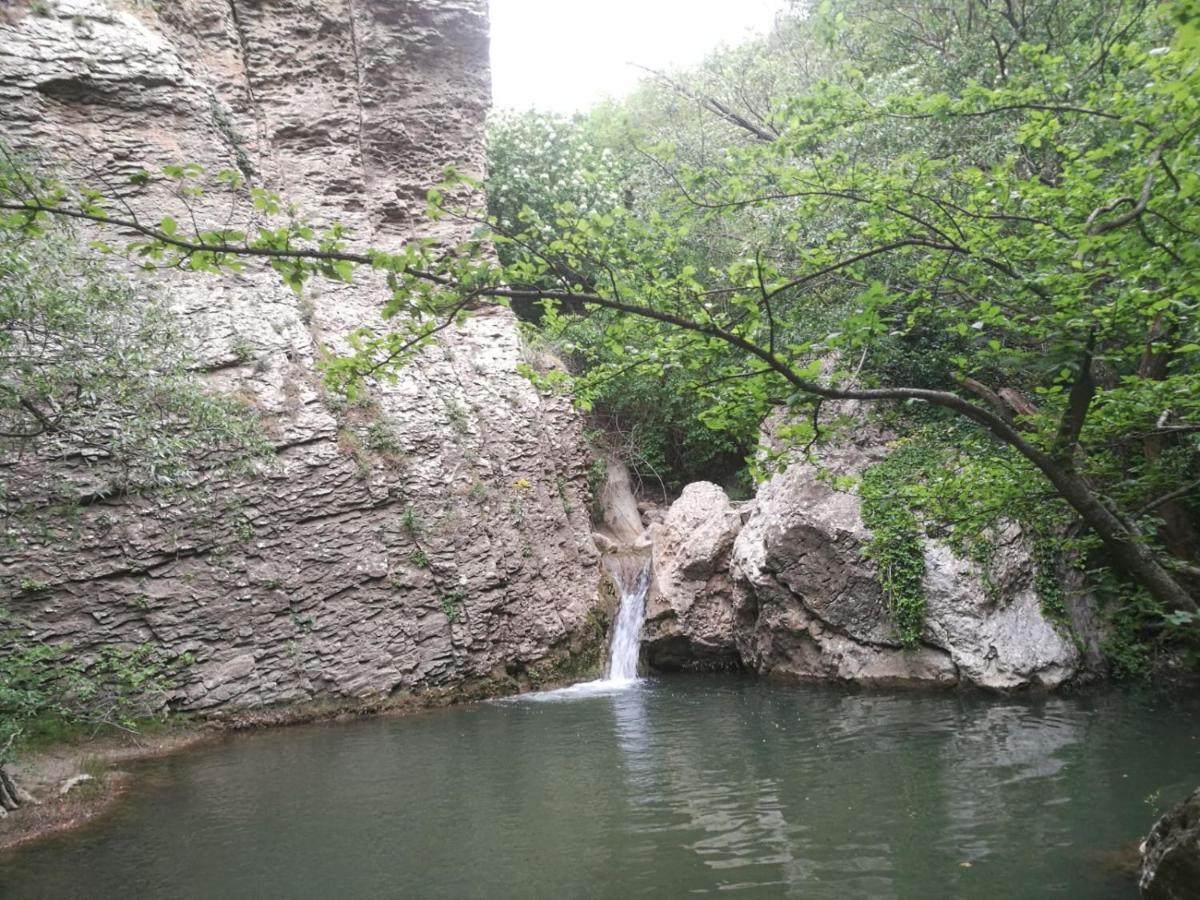 Bed and Breakfast Vieniacasaccadia Екстер'єр фото